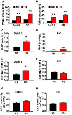 Expression of Proinflammatory Cytokines Is Upregulated in the Hypothalamic Paraventricular Nucleus of Dahl Salt-Sensitive Hypertensive Rats